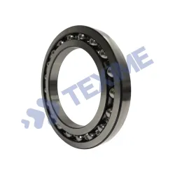 Deep Groove Ball Bearings 6019